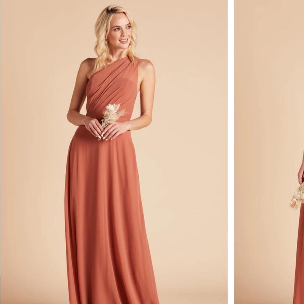 Birdy Grey Kira dress- size small Terracotta unaltered